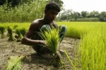 Food Security Threat in Bangladesh Due to Climate Change